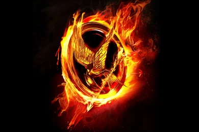 181 The Hunger Games HD Wallpapers