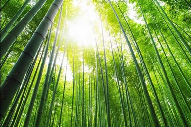 Custom Photo Wallpapers Large 3D Sofa TV Backgrounds Wallpapers Mural ...