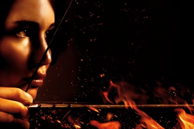 THE HUNGER GAMES F Wallpapers