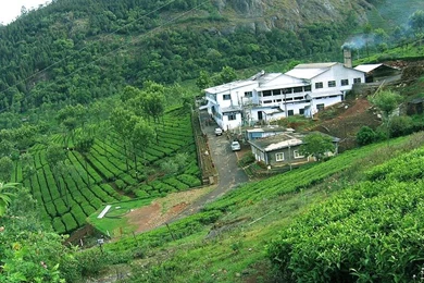 Ooty Tamilnadu Wallpapers   Top Most Beautiful Places In India ...