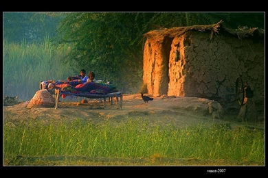 Wallpapers Artistic Nature Fun Gallery Images 864x540