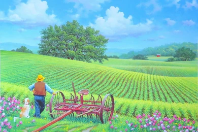 BEAUTIFUL DAY WALLPAPER   (