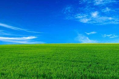 Beautiful Day Wallpapers   Wallpapers Cave