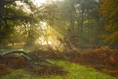 A Beautiful Day In The Country >> HD Wallpaper, Get It Now!