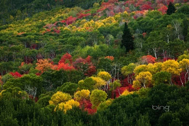 Beautiful Beach Hd Wallpapers (21)