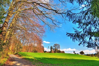 Beautiful Day In The Field >> HD Wallpaper, Get It Now!