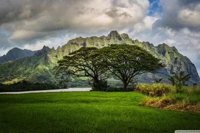 The Lost Cliffs Of Oahu [Wallpaper]
