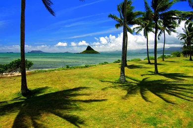 Oahu , Hawaii >> HD Wallpaper, Get It Now!