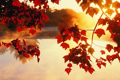 Autumn Wallpapers High Definition Awesome   Fullwidehd.com