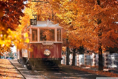 Autumn In Prague Wallpapers Full HD [1920x1200]   Free Wallpapers ...