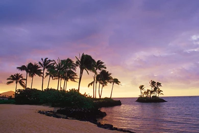 Wallpapers Tropics, Beach, Clouds, USA, Oahu, Palm, Hawaii, Wai ...