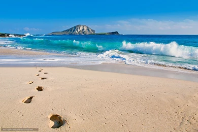 478938_ssha_gavaji_gavajskie ostrova_oahu_rabbit_2048x1365_www.Gde Fon.com.jpg