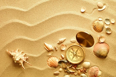 Mobile Shell Wallpapers