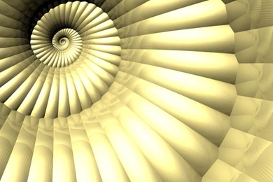 Golden Shell Wallpapers By Mangachu On DeviantArt