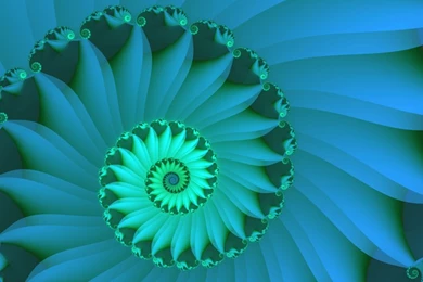 Fractal Art By Vicky, Shell 3 Wallpapers