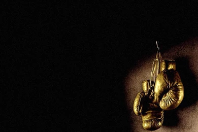 Download Wallpaper: Gold Boxing Gloves Photo, Wallpapers For ...