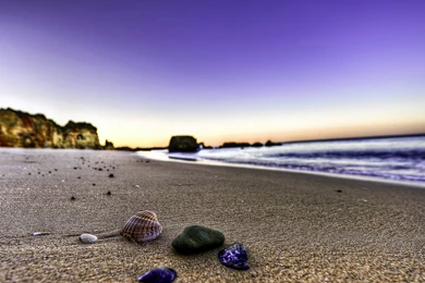 Beach Shell Wallpapers   HD Wallpapers