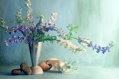 Download Wallpapers 1920x1080 Lupines, Flower, Vase, Wall, Shell ...