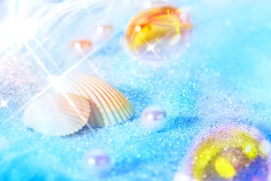 47 Shell HD Wallpapers