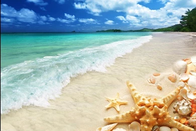 Aliexpress.com : Buy 3d Flooring Wallpapers Custom Waterproof 3d ...