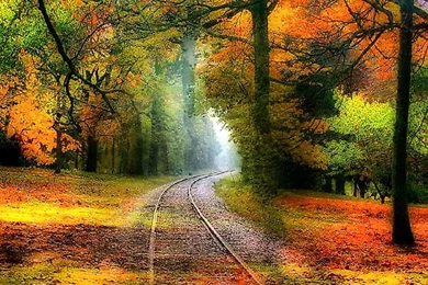 Autumn Colors Autumn Rails – Nature Forests HD Desktop Wallpapers