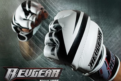MMA Gloves