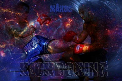 Wallpapers Taekwondo Kickboxing 2560x1600