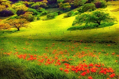 Nexus Desktop Backgrounds   Wallpapers Cave