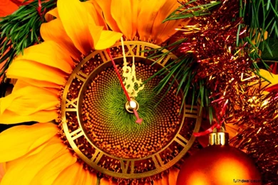 Desktop Nexus Wallpapers