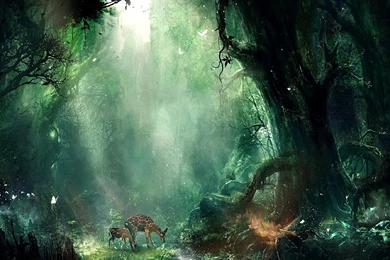 Mobile Wallpapers   Daily Galleries