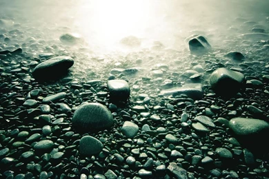 Download Lake Side HD Wallpapers 1440 X 1280 Wallpapers   4273219 ...