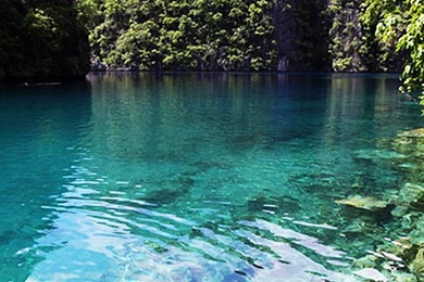 Palawan, Philippines iPhone 5 Wallpapers (640x1136)