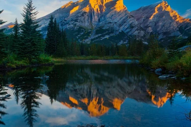 Mobile Wallpapers   Daily Galleries