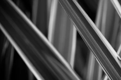 Galaxy Nexus Galaxy Nexus 1440x1280 Wallpapers – Galaxies ...