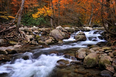 Fall Cascades In The Smokies