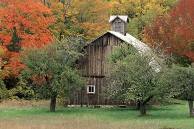 Fall Colors : Magic Of The Nature 1024x768 NO.29 Desktop Wallpapers ...