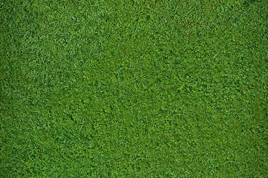 Lock Screen + Home Screen: Matching Wallpapers Sets.