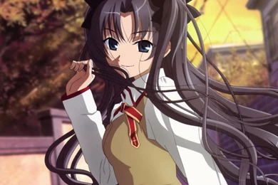 Fate/Stay Night Unlimited Blade Works Android Wallpapers