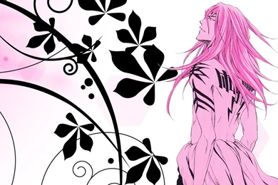 Renji Abarai   Renji Abarai Wallpapers (36568452)   Fanpop