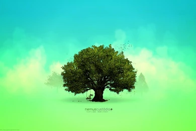 Plant A Seed Grow A Forest >> HD Wallpaper, Get It Now!