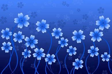 Beautiful Blue Flowers Vector Design   New HD Wallpapers
