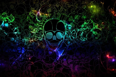 YOUNG,RECKLESS AND FREE