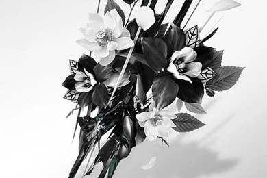 Justin M. Maller: Artist Of The Day   Designrfix.com