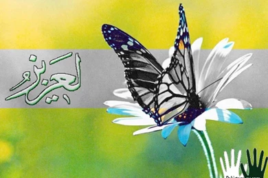 Wallpapers D Name Of Allah Islamic Names 800x600