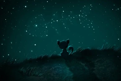 Cartoons,stars Cartoons Stars Fish Catalunya Cats Drawn 1600x1200 ...