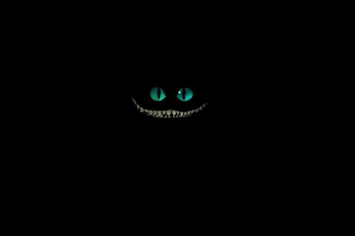 Cheshire Cat Wallpapers   Wallpapers Cave