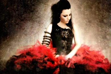 Evanescence Wallpapers The Open Door, Wallpaper, Evanescence ...