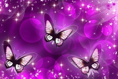 Butterfly Purple Art Wallpapers 11017 Wallpapers Cool