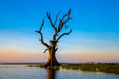 Download Imac 5k Wallpapers For Windows