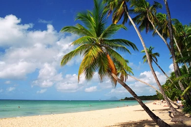 Beach Scene Desktop Wallpapers Wonderful Beach Desktopaper Hd